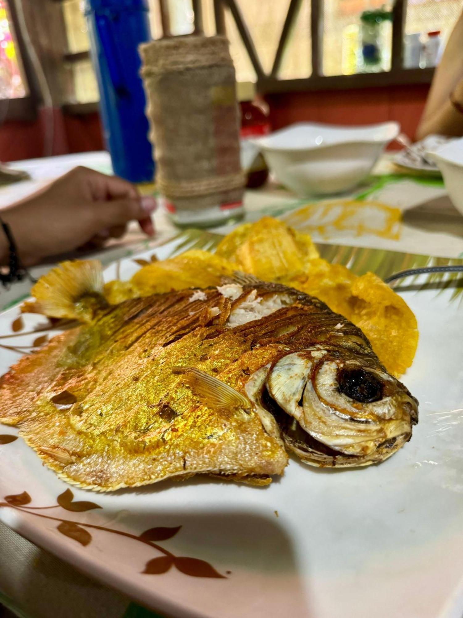 Maiku Amazonas Hotel Puerto Nariño Kültér fotó
